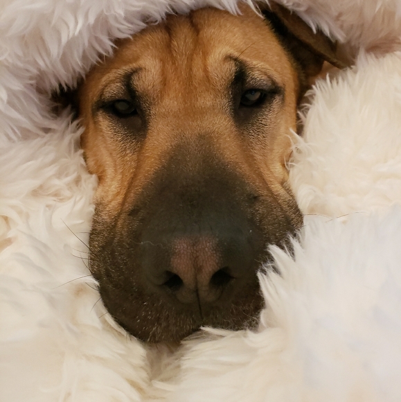 Welcome to my closet! - Picture 9 of 16